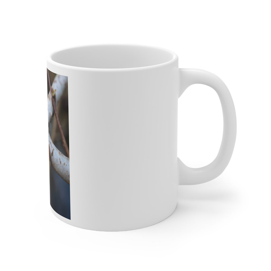 Birch Bark Branch Photo Mug | Nature Tree Bark Coffee Mug