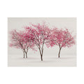 Pink Blossom Tree Rolled Poster | Cherry Blossom Wall Art, Minimal Landscape Print