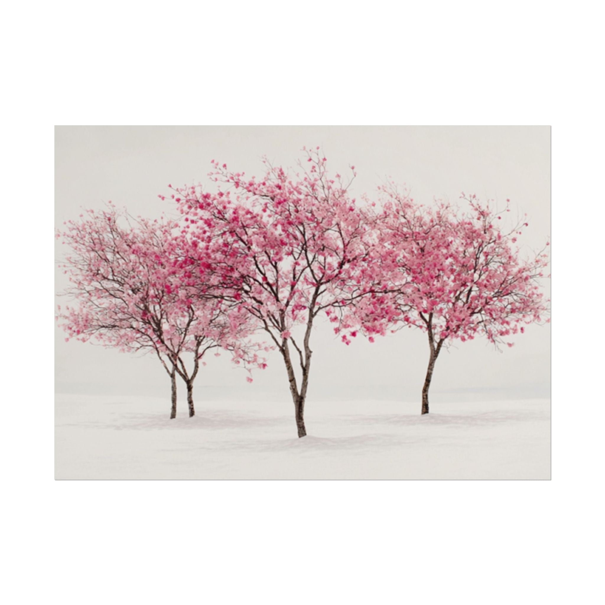 Pink Blossom Tree Rolled Poster | Cherry Blossom Wall Art, Minimal Landscape Print