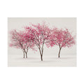 Pink Blossom Tree Rolled Poster | Cherry Blossom Wall Art, Minimal Landscape Print