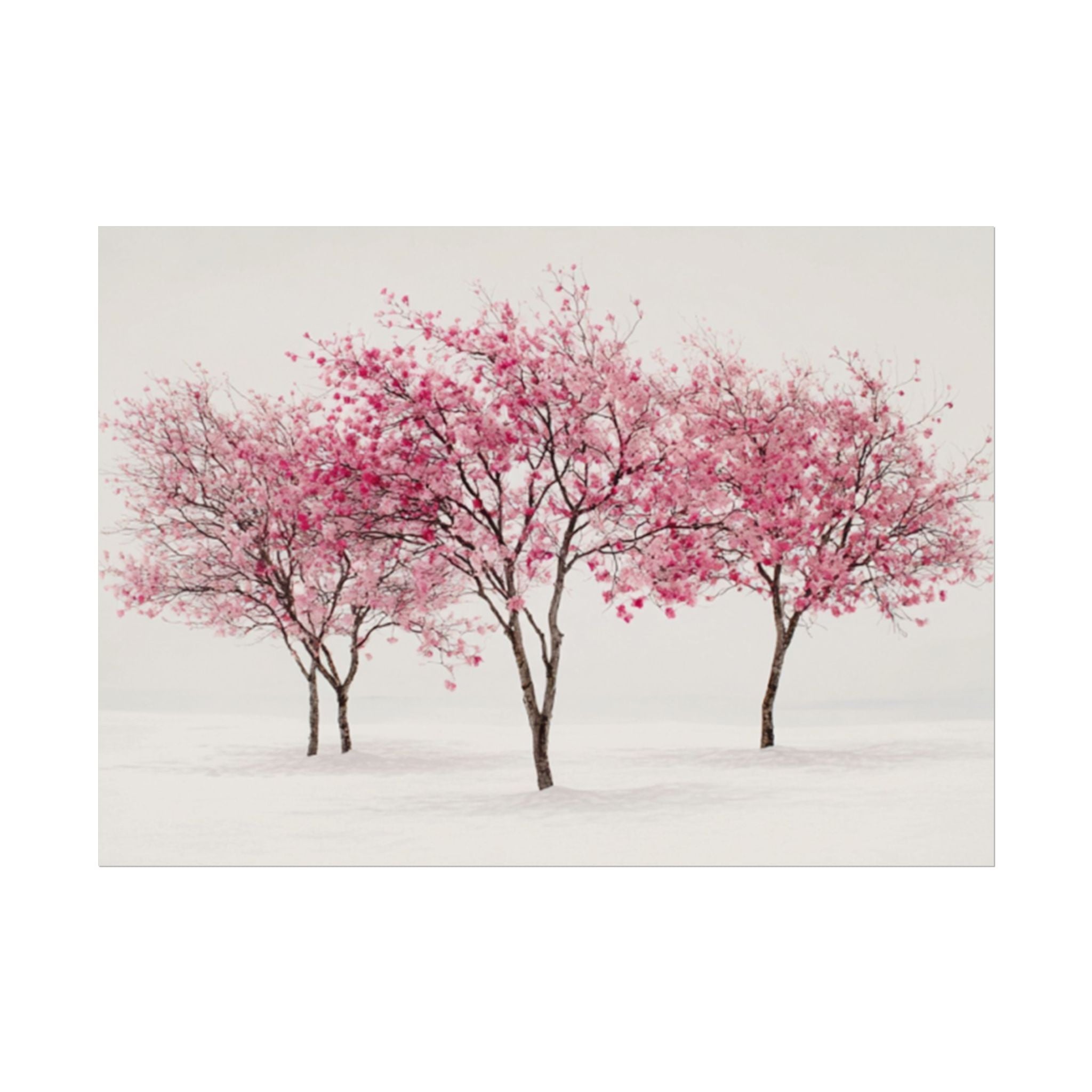 Pink Blossom Tree Rolled Poster | Cherry Blossom Wall Art, Minimal Landscape Print