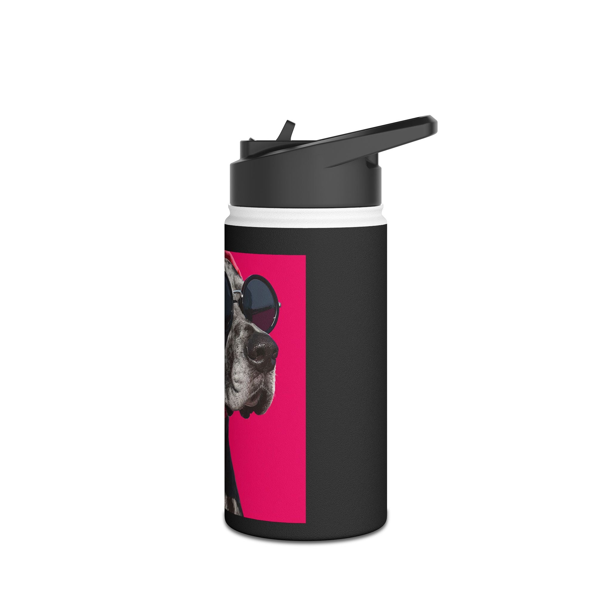 On-Trend Dog with Sunnies and Scarf Stainless Steel Water Bottle | Pet Lover