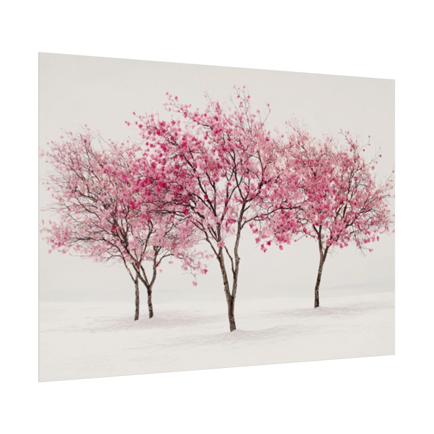 Pink Blossom Tree Rolled Poster | Cherry Blossom Wall Art, Minimal Landscape Print
